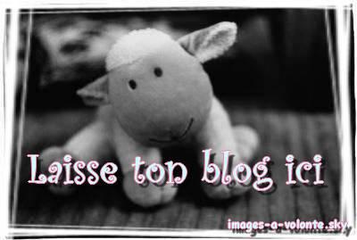vasi lache ton blog 